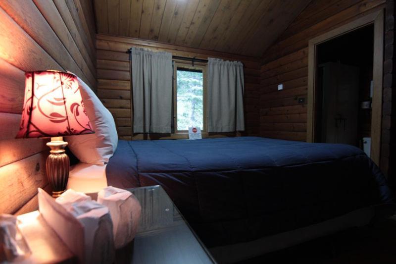 Miette Hot Springs Bungalows Jasper Extérieur photo
